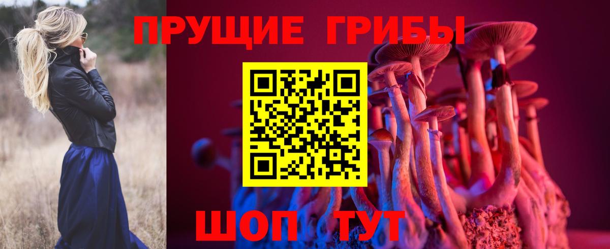 Казань  где можно купить наркотик  Вход с VPN  Галлюциногенные грибы ЛСД 